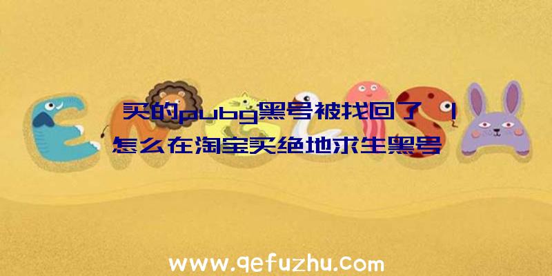 「买的pubg黑号被找回了」|怎么在淘宝买绝地求生黑号